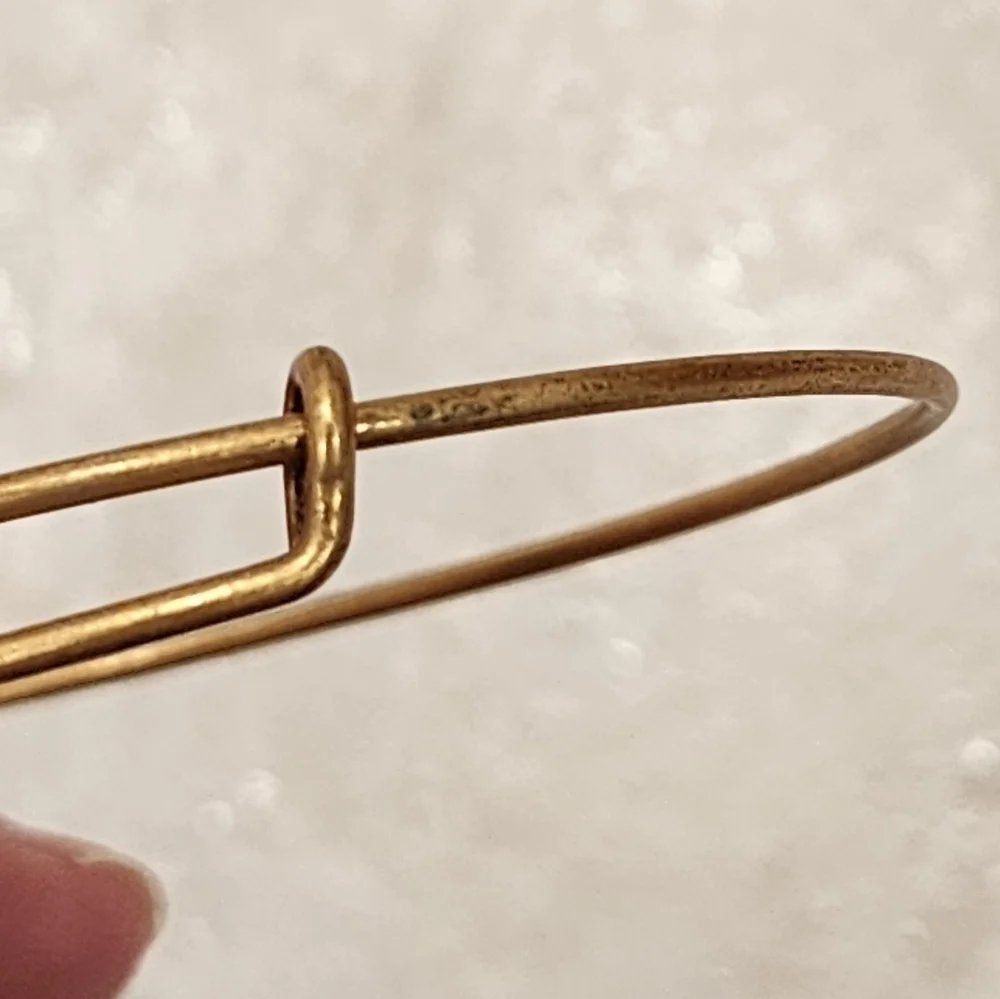 Alex And Ani Charity Sea Otter Gold Finish Expandable Bangle Bracelet - Picture 6 of 6